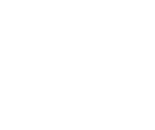 Agent